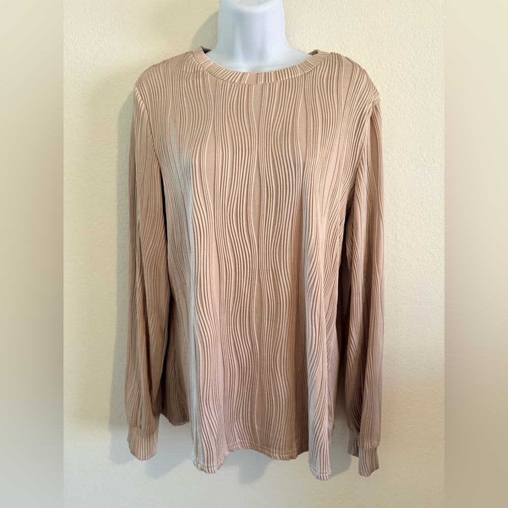 NWOT Chic Beige Textured Women's Blouse